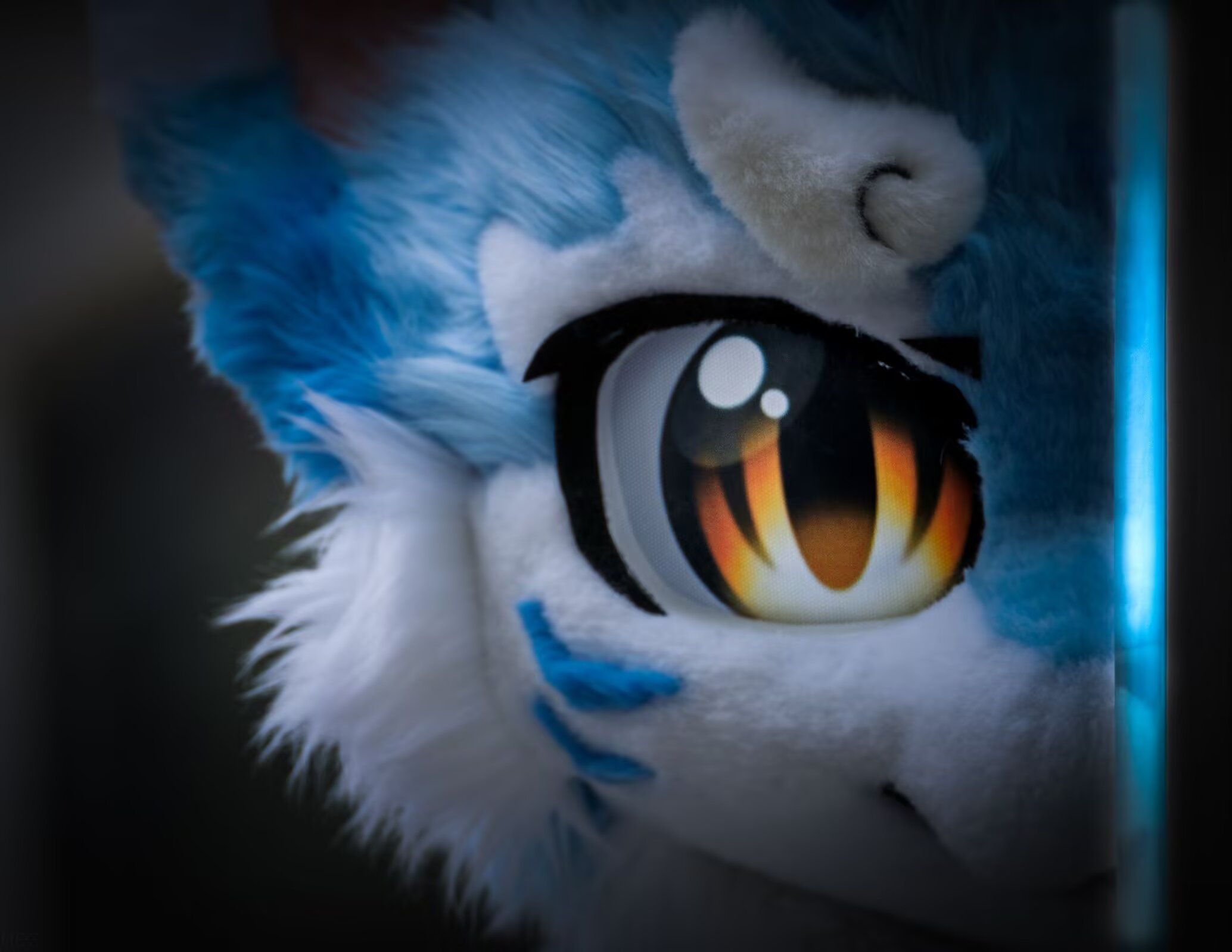 Latest Products Image