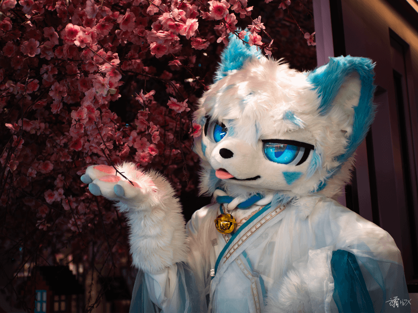 Latest Products Image